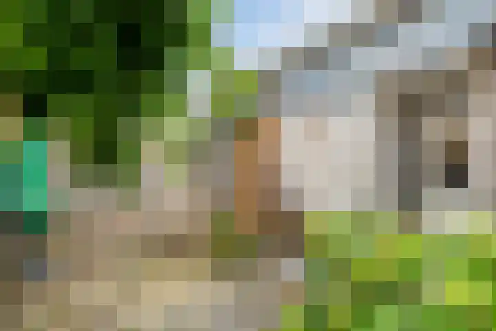 Oostersingel 48 Groningen thumbnail 19