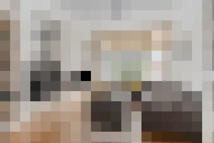 Oostersingel 48 Groningen thumbnail 28