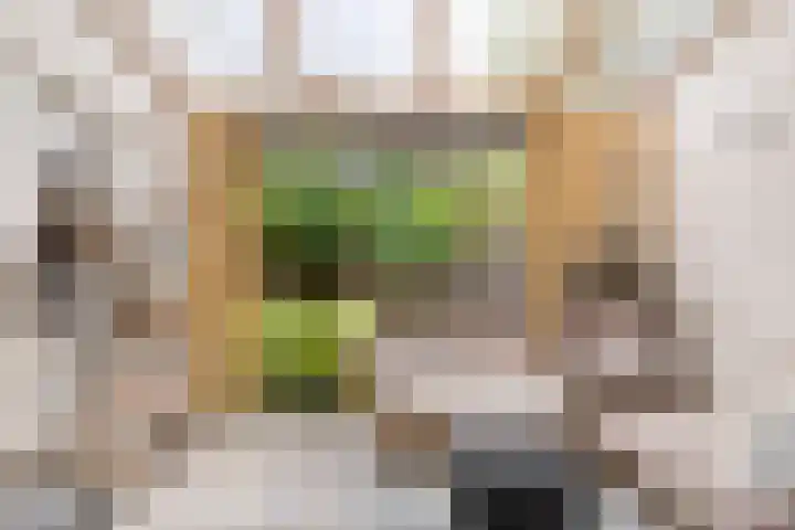 Oostersingel 48 Groningen thumbnail 4