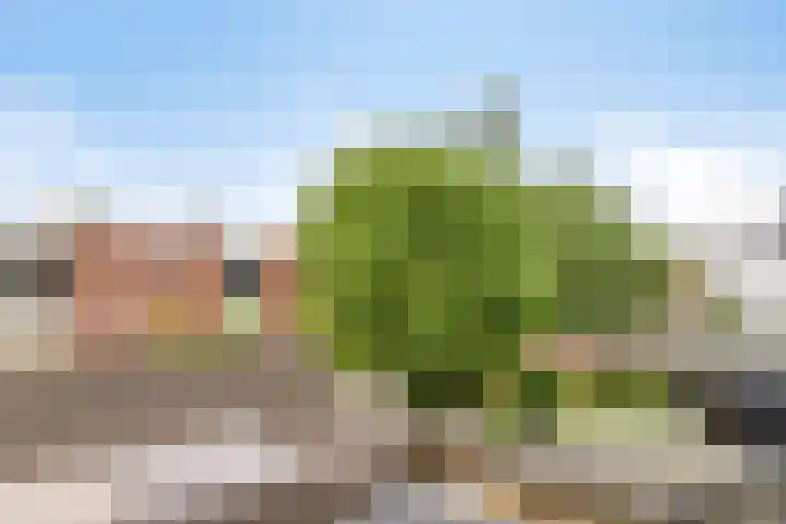 Oostersingel 48 Groningen thumbnail 41