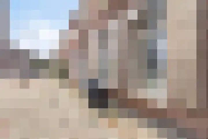 Oostersingel 48 Groningen thumbnail 51