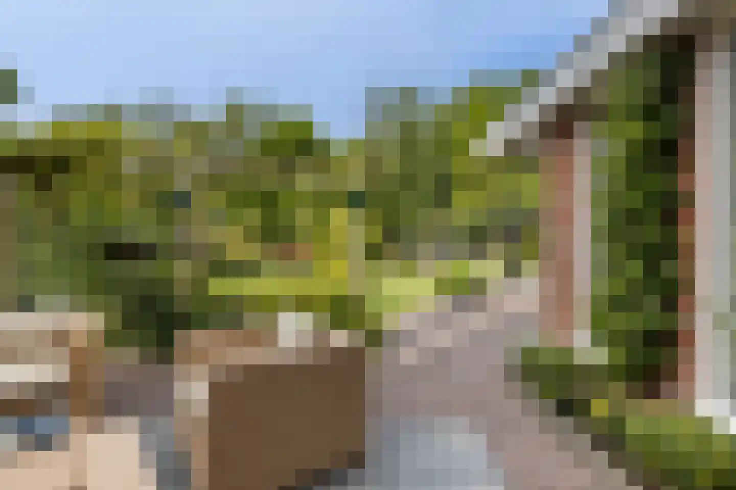 Oostersingel 55 Wedde thumbnail 39