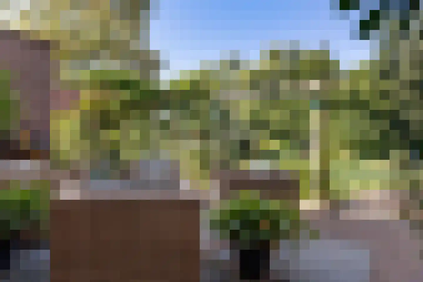 Oostersingel 55 Wedde thumbnail 49