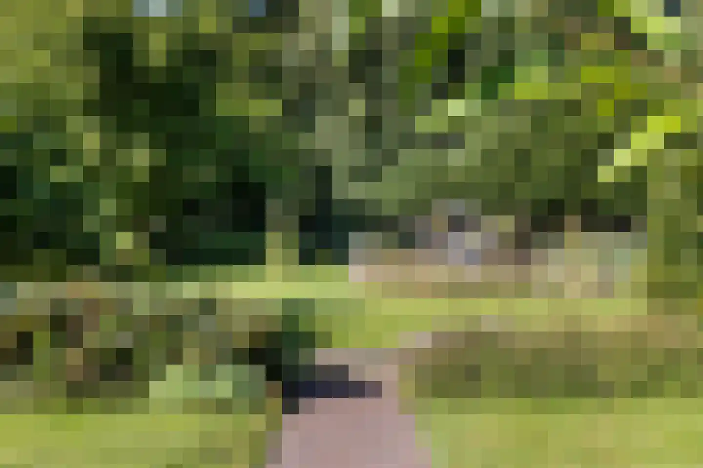 Oostersingel 55 Wedde thumbnail 53