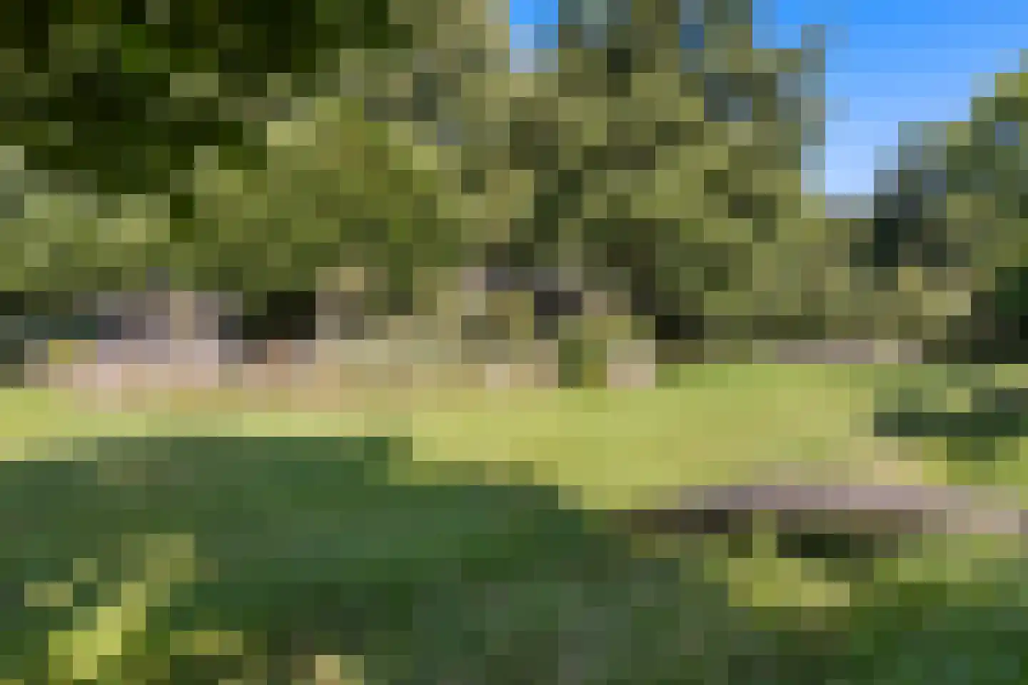 Oostersingel 55 Wedde thumbnail 54