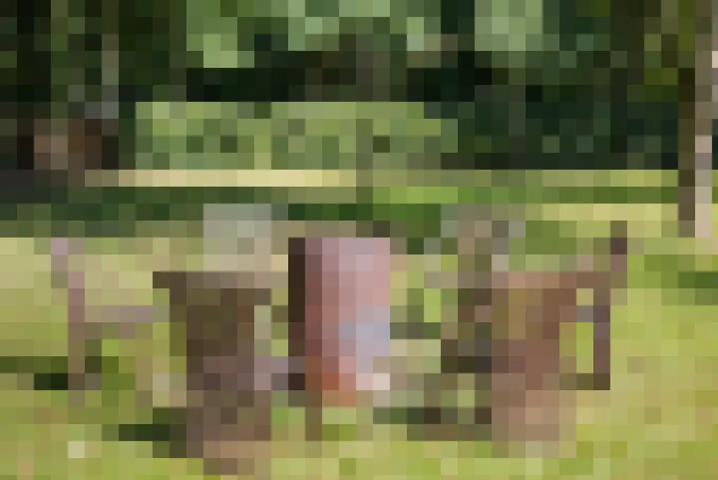 Oostersingel 55 Wedde thumbnail 56