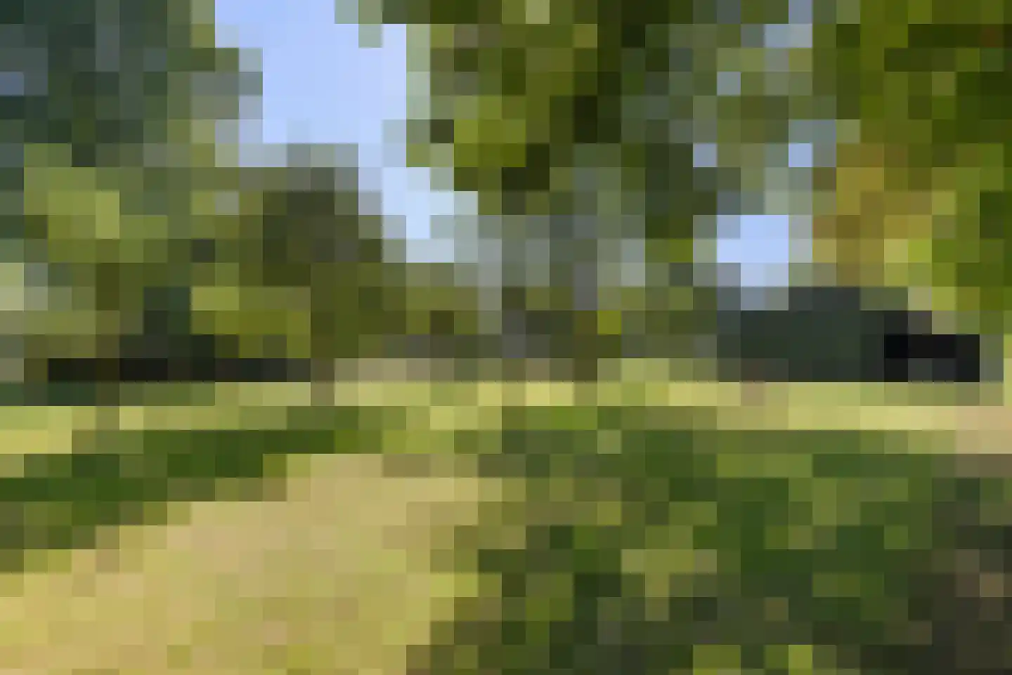 Oostersingel 55 Wedde thumbnail 59