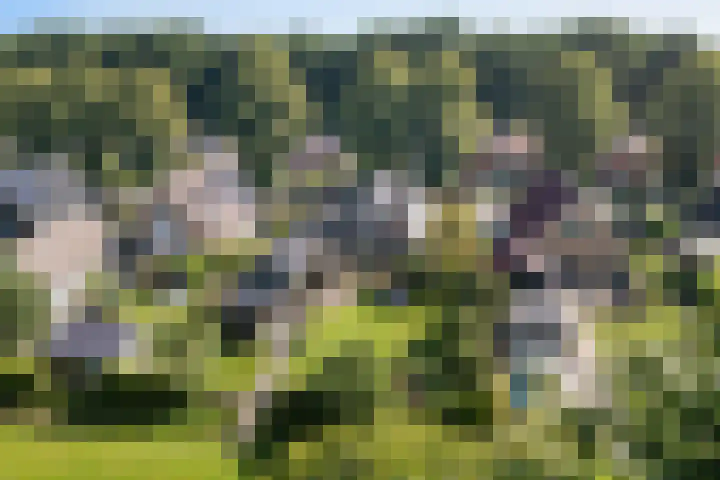 Oostersingel 55 Wedde thumbnail 64
