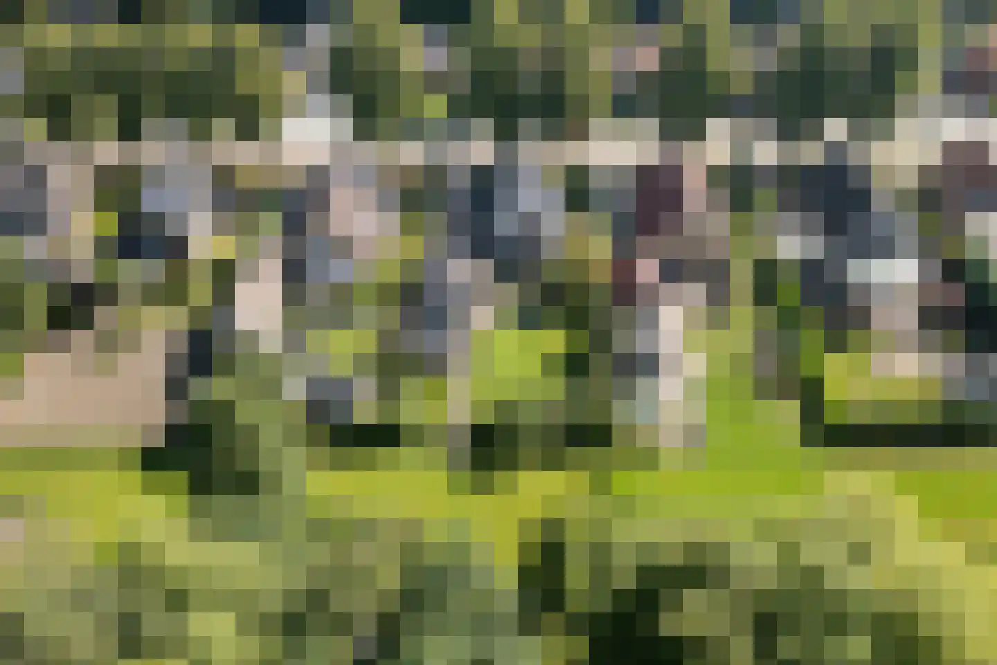 Oostersingel 55 Wedde thumbnail 65