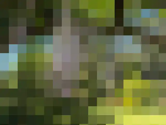 Oostersingel 55 Wedde thumbnail 66