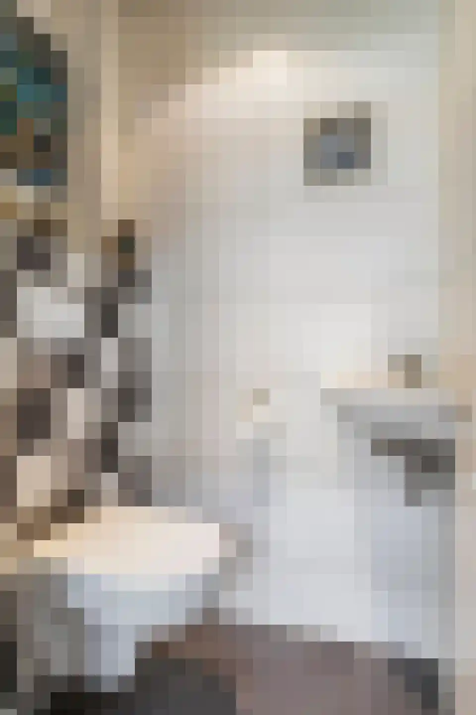 Oostersingel 55 Wedde thumbnail 9