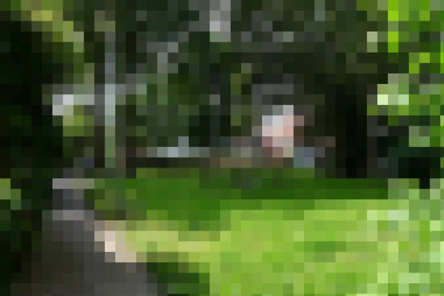 Oostersingel 58 Groningen thumbnail 31