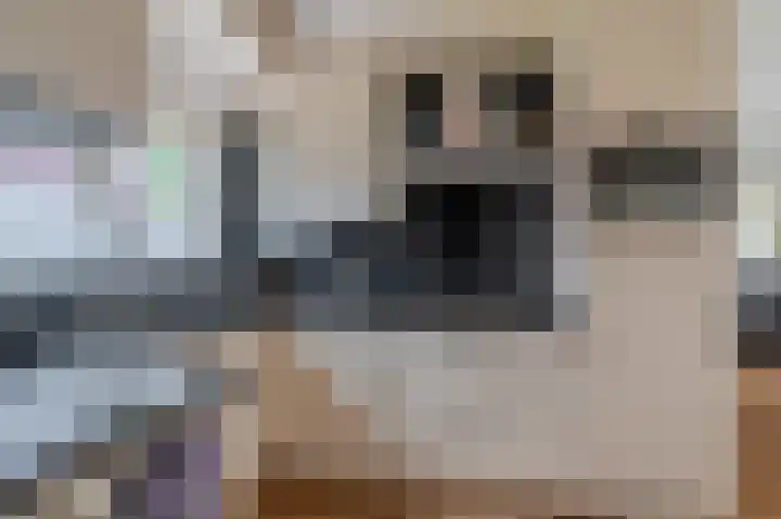 Oostersingel 65 Wedde thumbnail 32