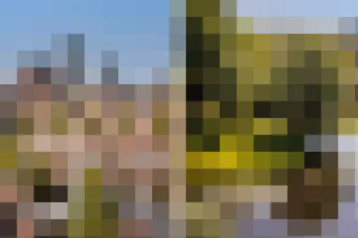 Oostersingel 68 h Leeuwarden thumbnail 34