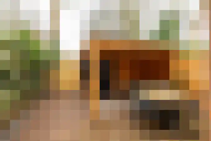 Oostersingel 76 Groningen thumbnail 15