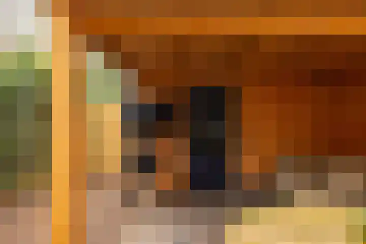 Oostersingel 76 Groningen thumbnail 16