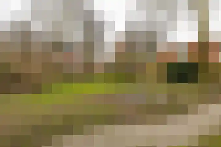 Oostersingel 76 Groningen thumbnail 32