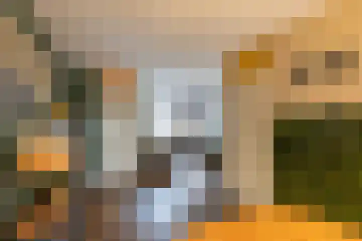 Oostersingel 76 Groningen thumbnail 7