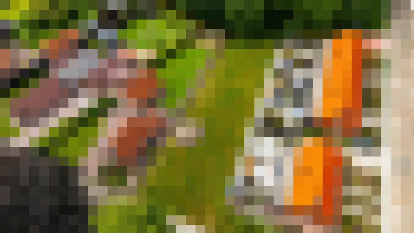 Oostersingel Vlagtwedde thumbnail 10