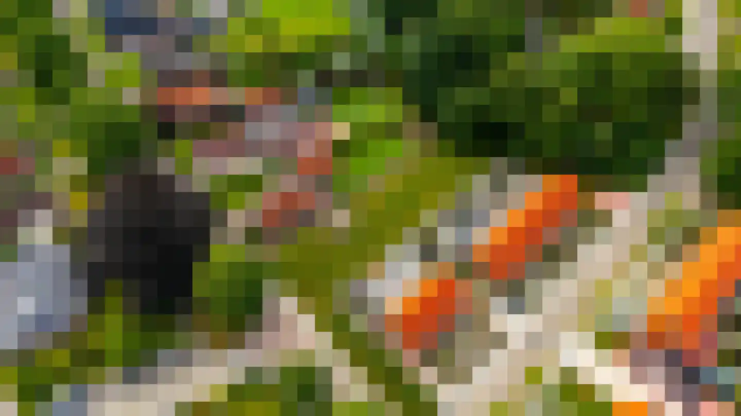 Oostersingel Vlagtwedde thumbnail 12
