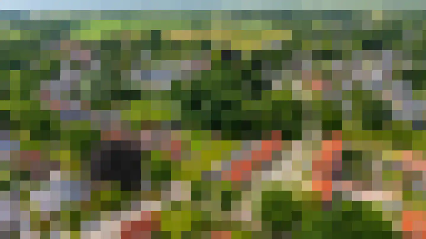 Oostersingel Vlagtwedde thumbnail 13