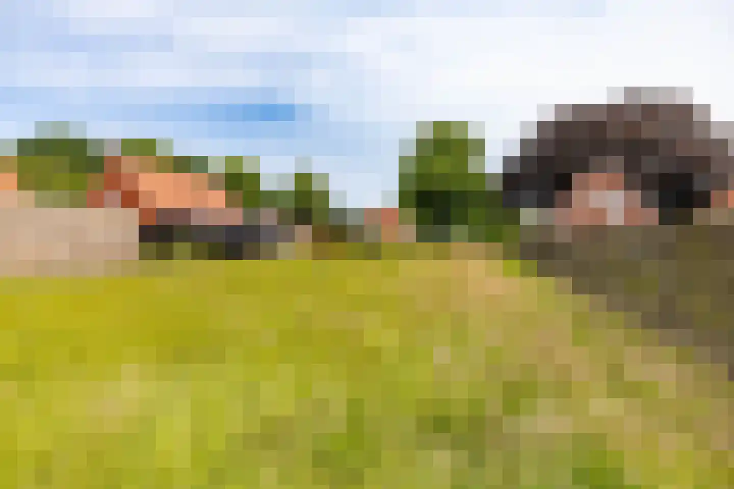Oostersingel Vlagtwedde thumbnail 8