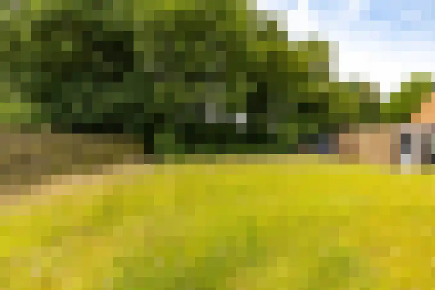Oostersingel Vlagtwedde thumbnail 9