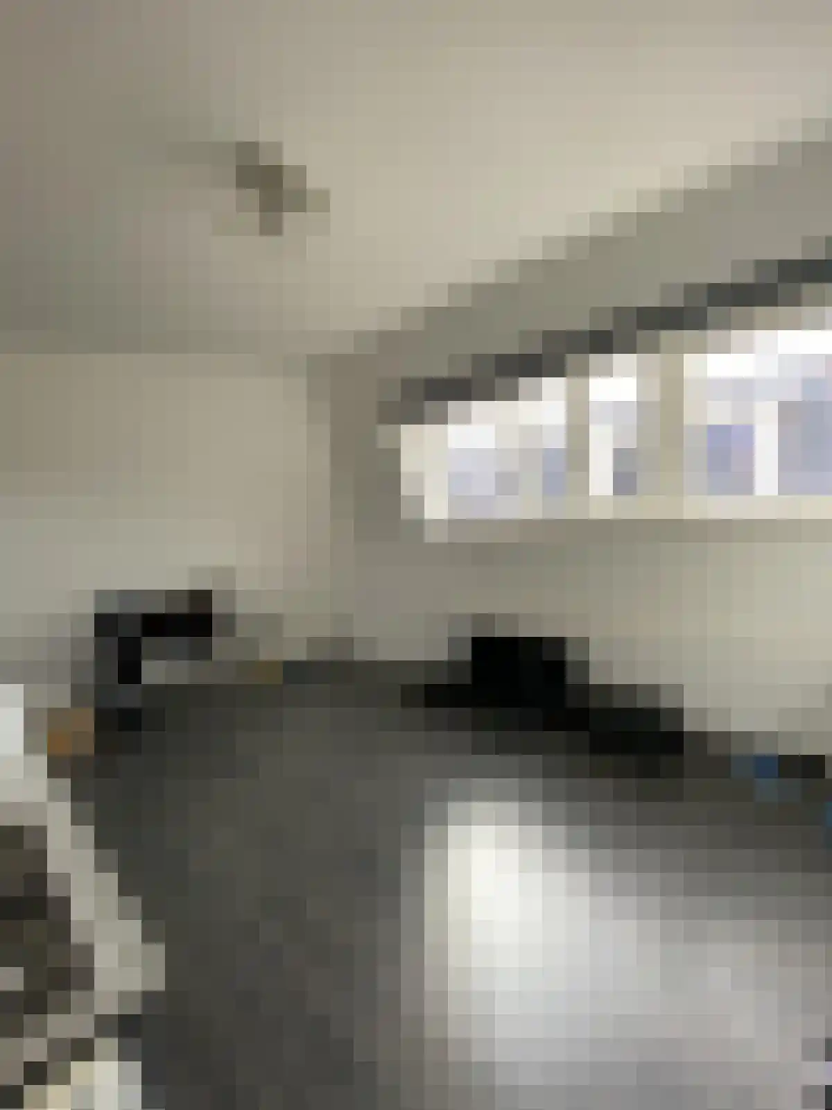 Oostersingeldwarsstraat 7 Groningen thumbnail 4