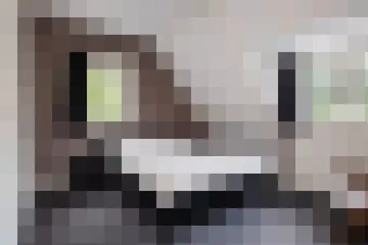 Oosterspoorlaan 17 Hollandsche Rading thumbnail 24