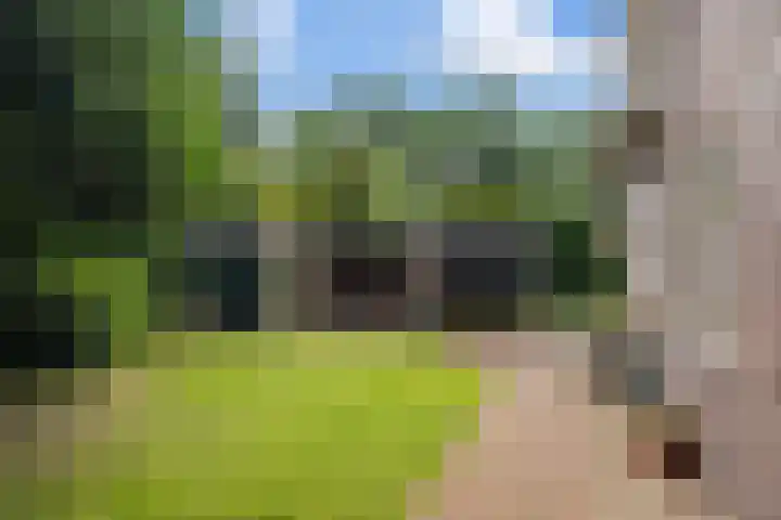 Oosterspoorlaan 17 Hollandsche Rading thumbnail 32