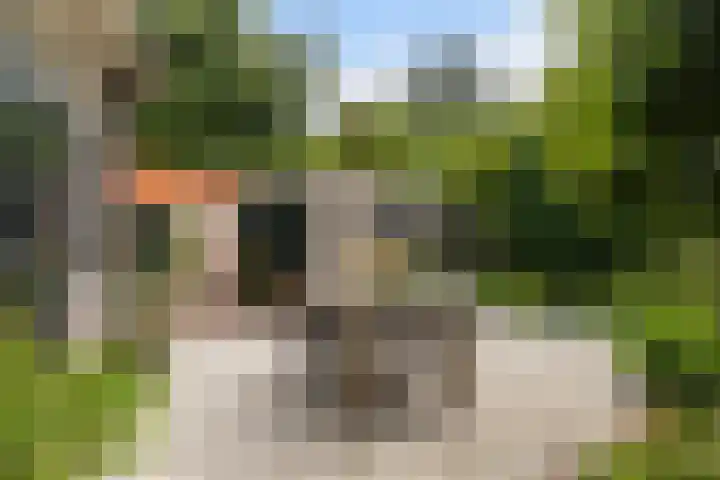 Oosterspoorlaan 17 Hollandsche Rading thumbnail 35