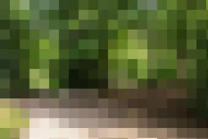 Oosterspoorlaan 17 Hollandsche Rading thumbnail 41