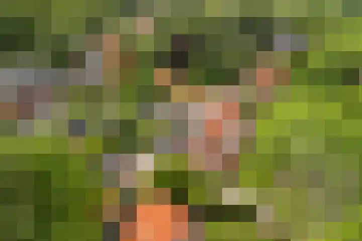 Oosterspoorlaan 17 Hollandsche Rading thumbnail 44
