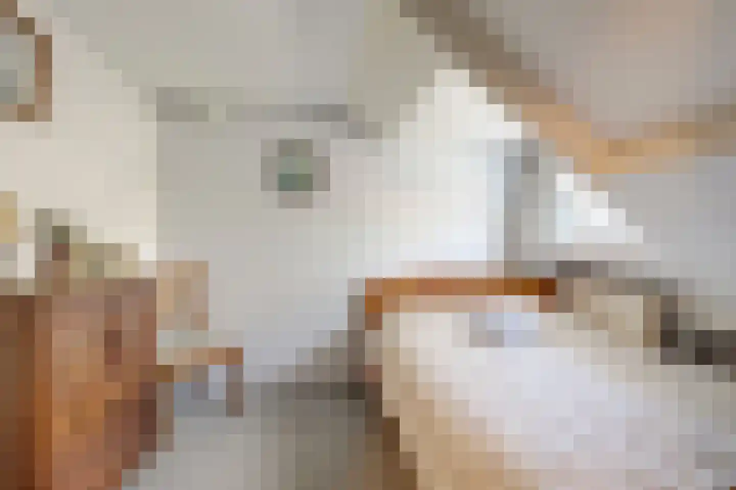 Oosterspoorlaan 3 Hollandsche Rading thumbnail 25