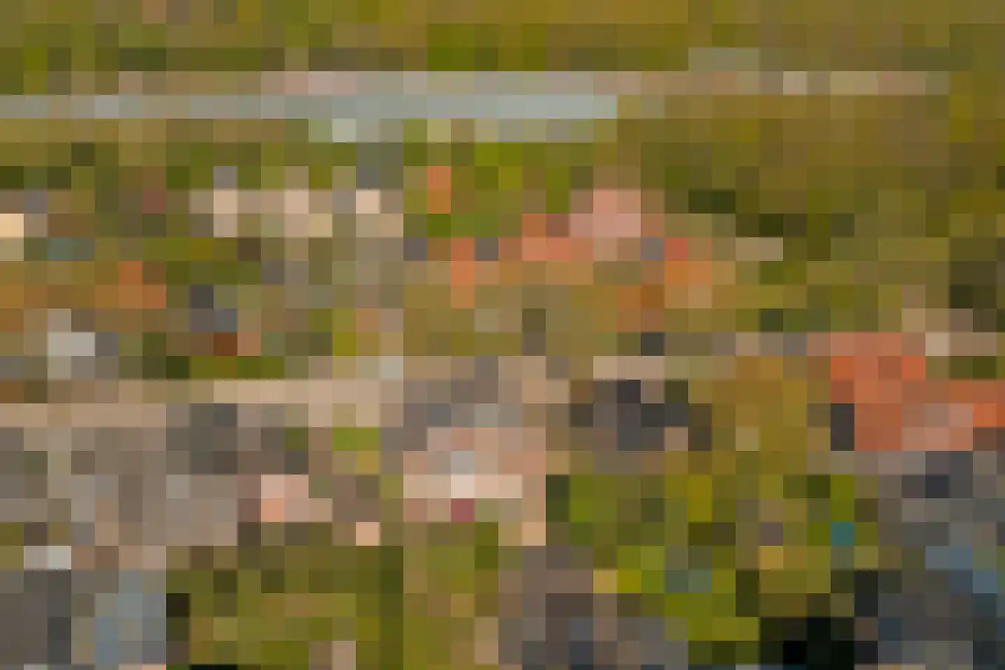 Oosterspoorlaan 3 Hollandsche Rading thumbnail 39