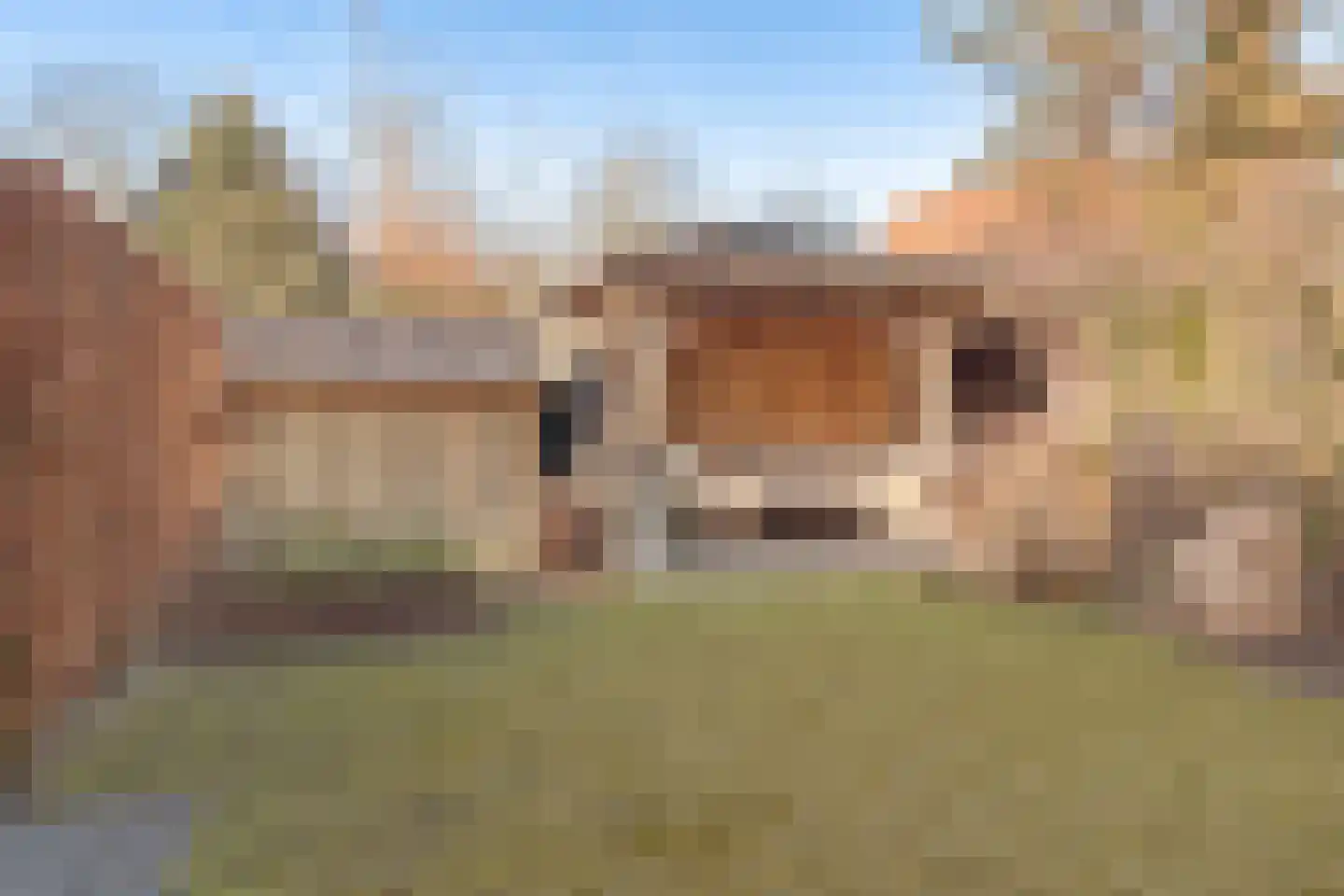 Oosterspoorlaan 8 Hollandsche Rading thumbnail 26