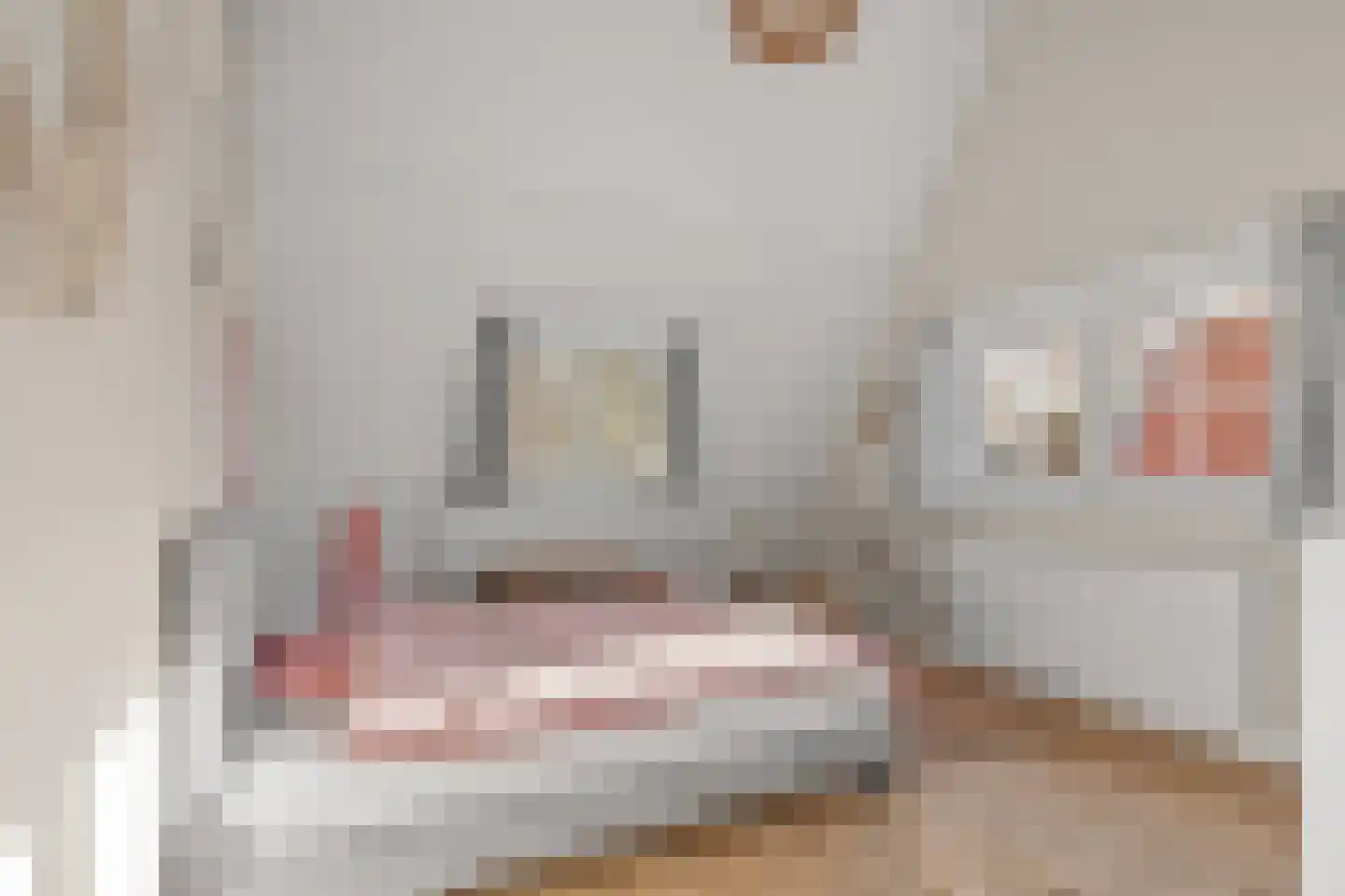 Oosterspoorlaan 8 Hollandsche Rading thumbnail 29