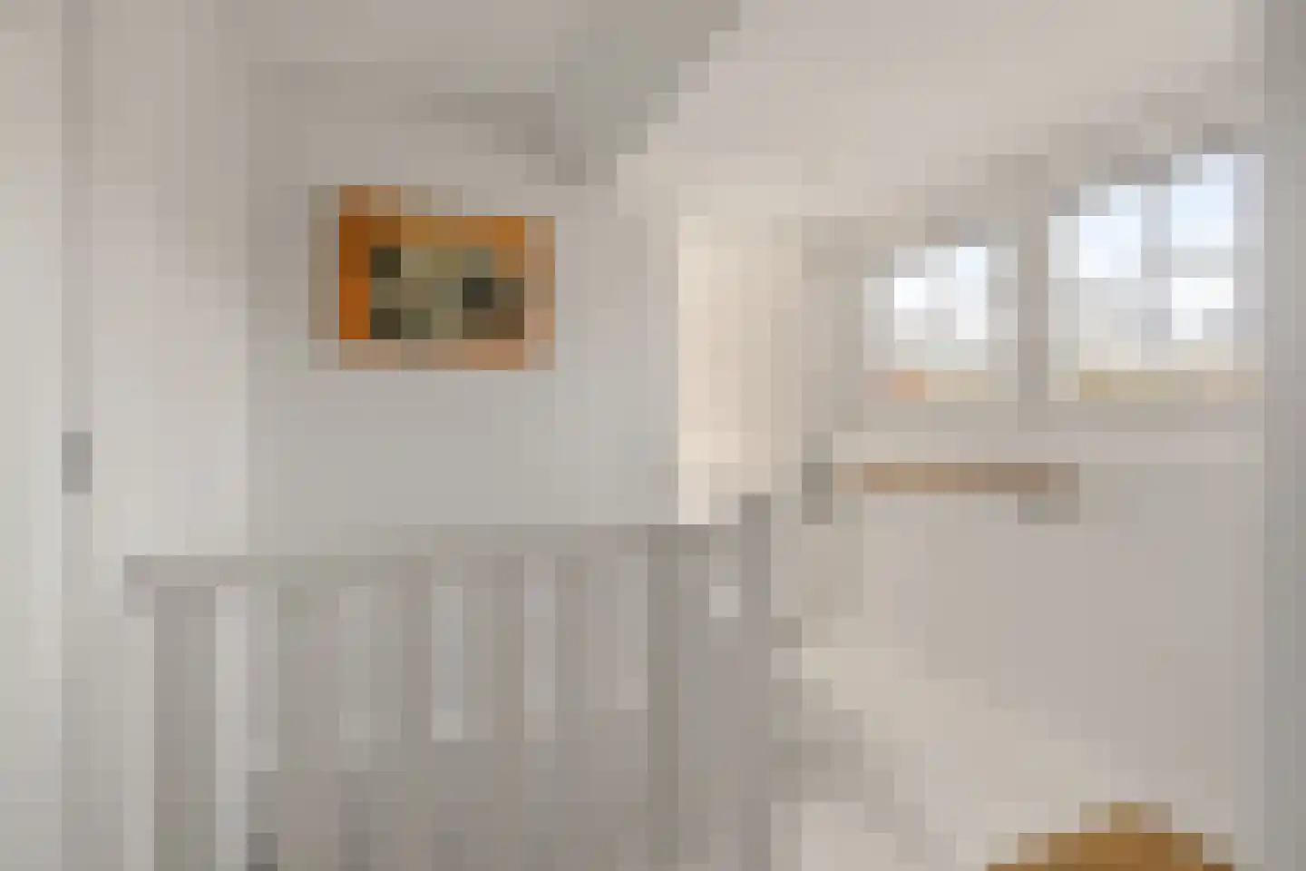 Oosterspoorlaan 8 Hollandsche Rading thumbnail 32