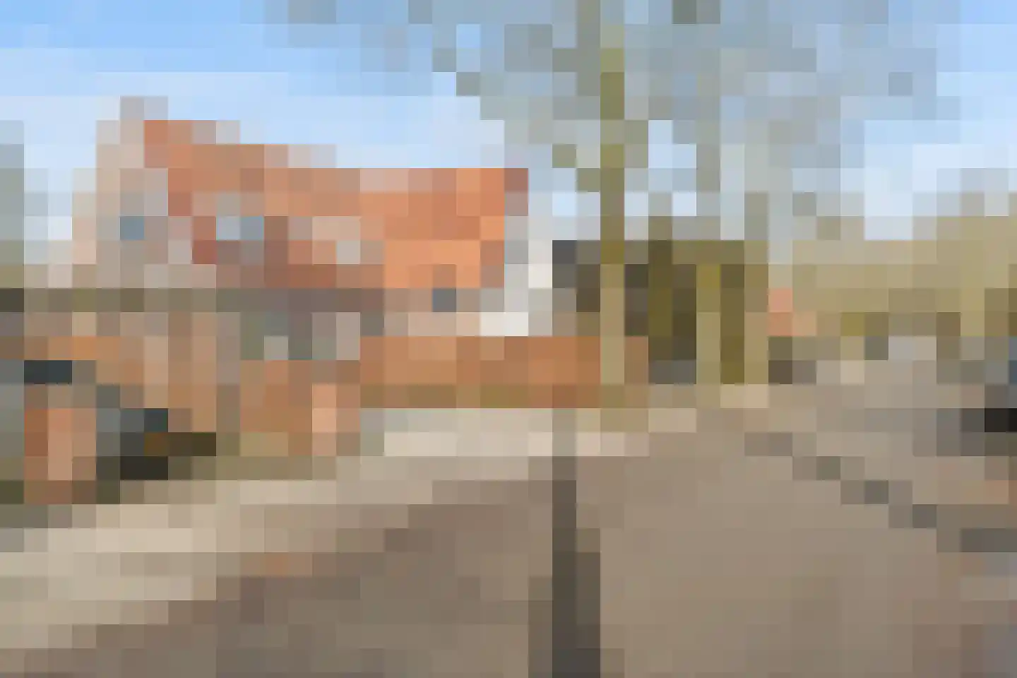 Oosterspoorlaan 8 Hollandsche Rading thumbnail 4