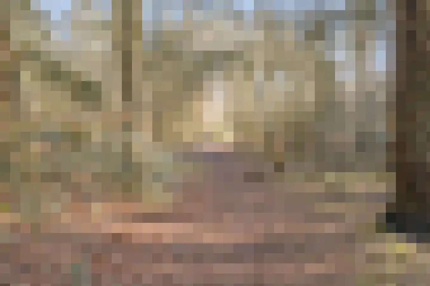 Oosterspoorlaan 8 Hollandsche Rading thumbnail 42