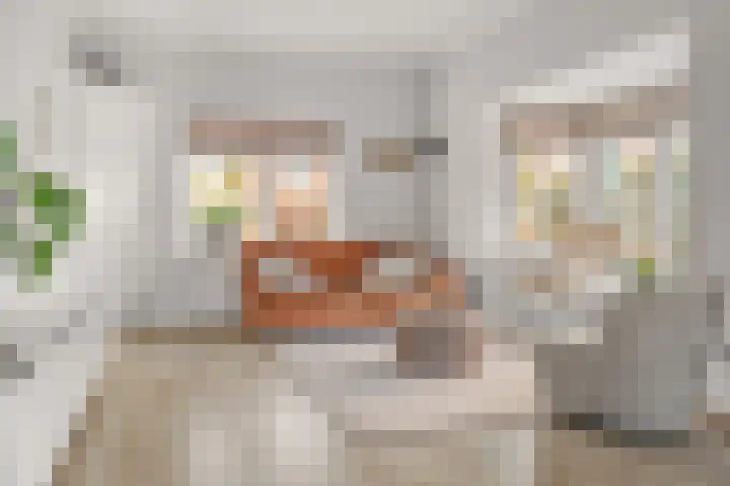 Oosterspoorlaan 8 Hollandsche Rading thumbnail 8