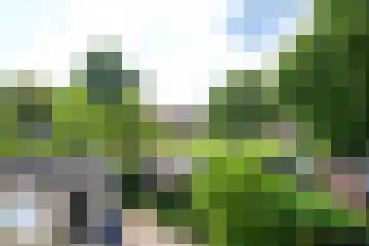 Oostersteeg 24 Medemblik thumbnail 37
