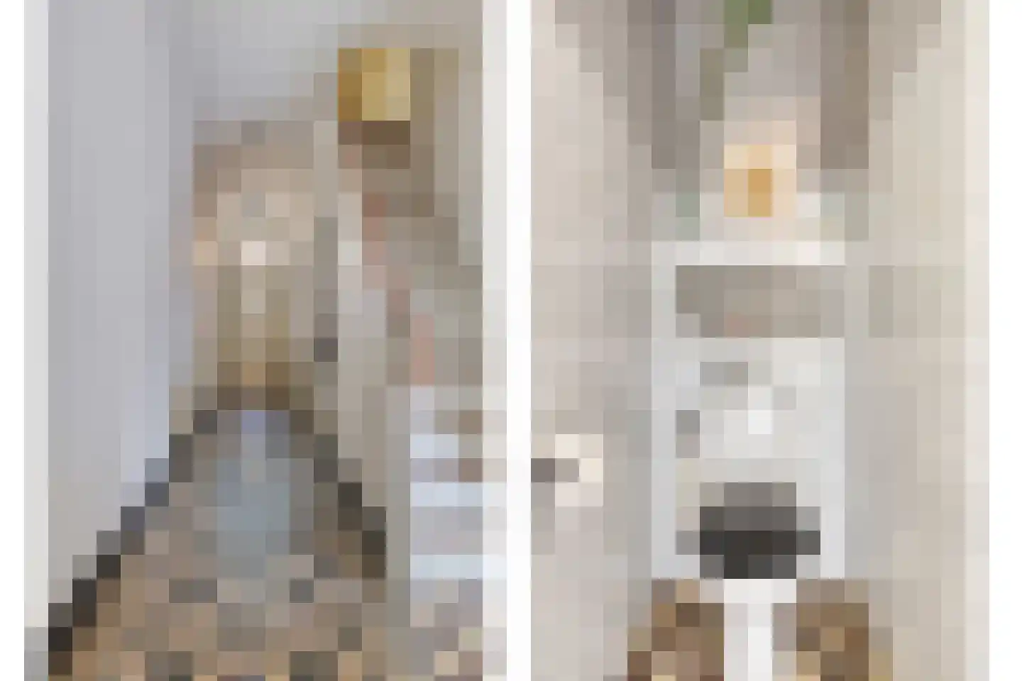 Oosterstraat 1 Dinteloord thumbnail 14