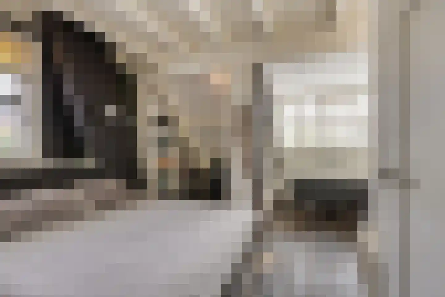 Oosterstraat 1 Dinteloord thumbnail 17