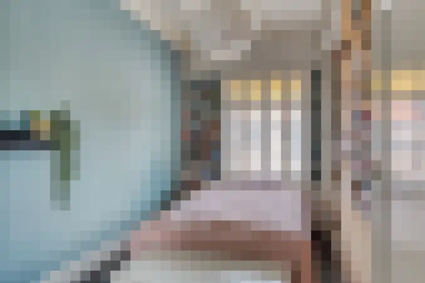 Oosterstraat 1 Dinteloord thumbnail 23