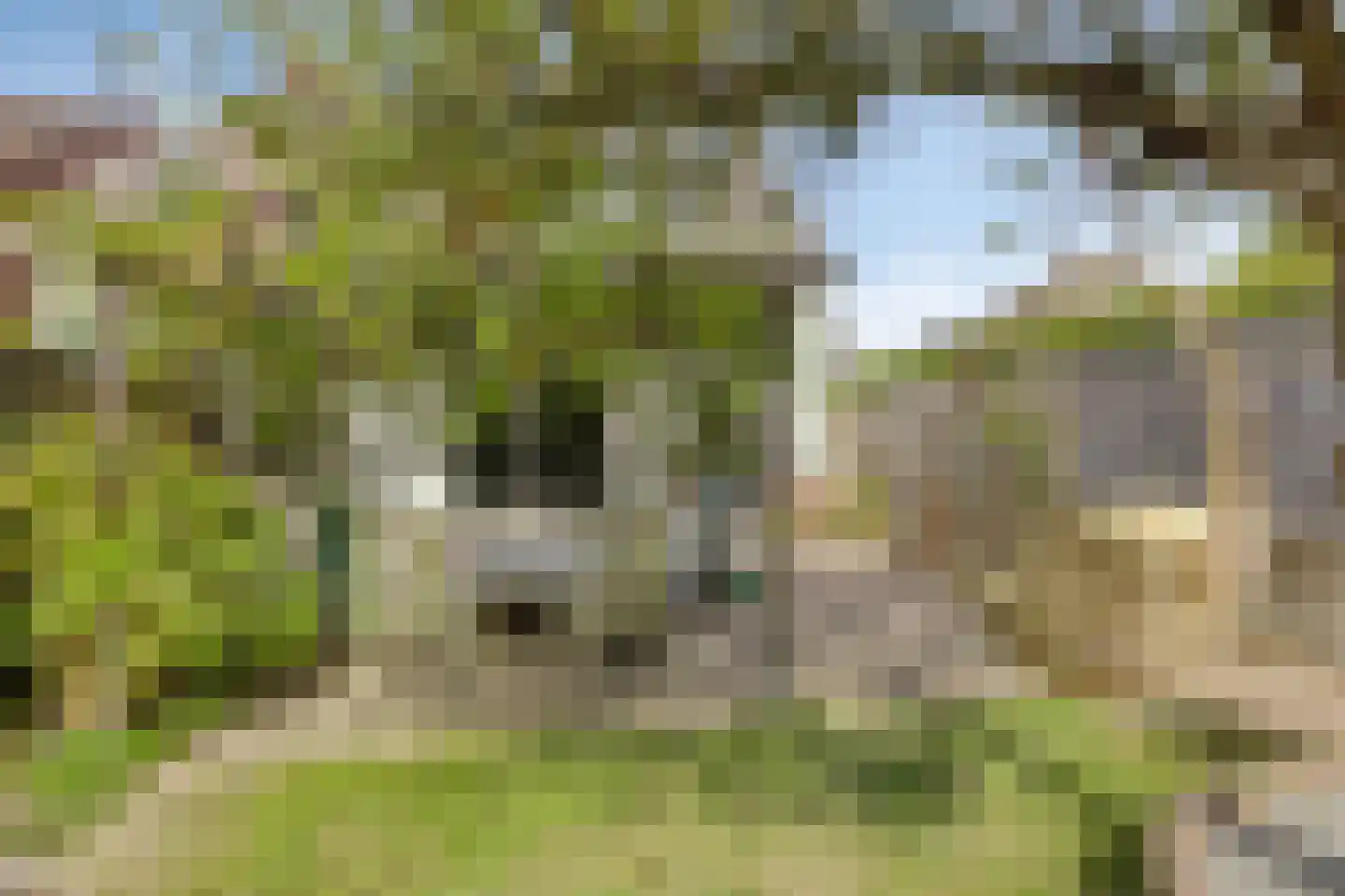 Oosterstraat 1 Dinteloord thumbnail 31