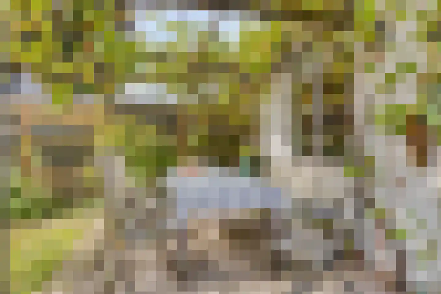 Oosterstraat 1 Dinteloord thumbnail 32
