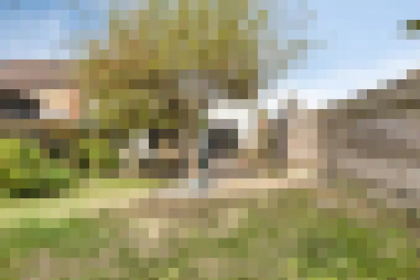 Oosterstraat 1 Dinteloord thumbnail 34