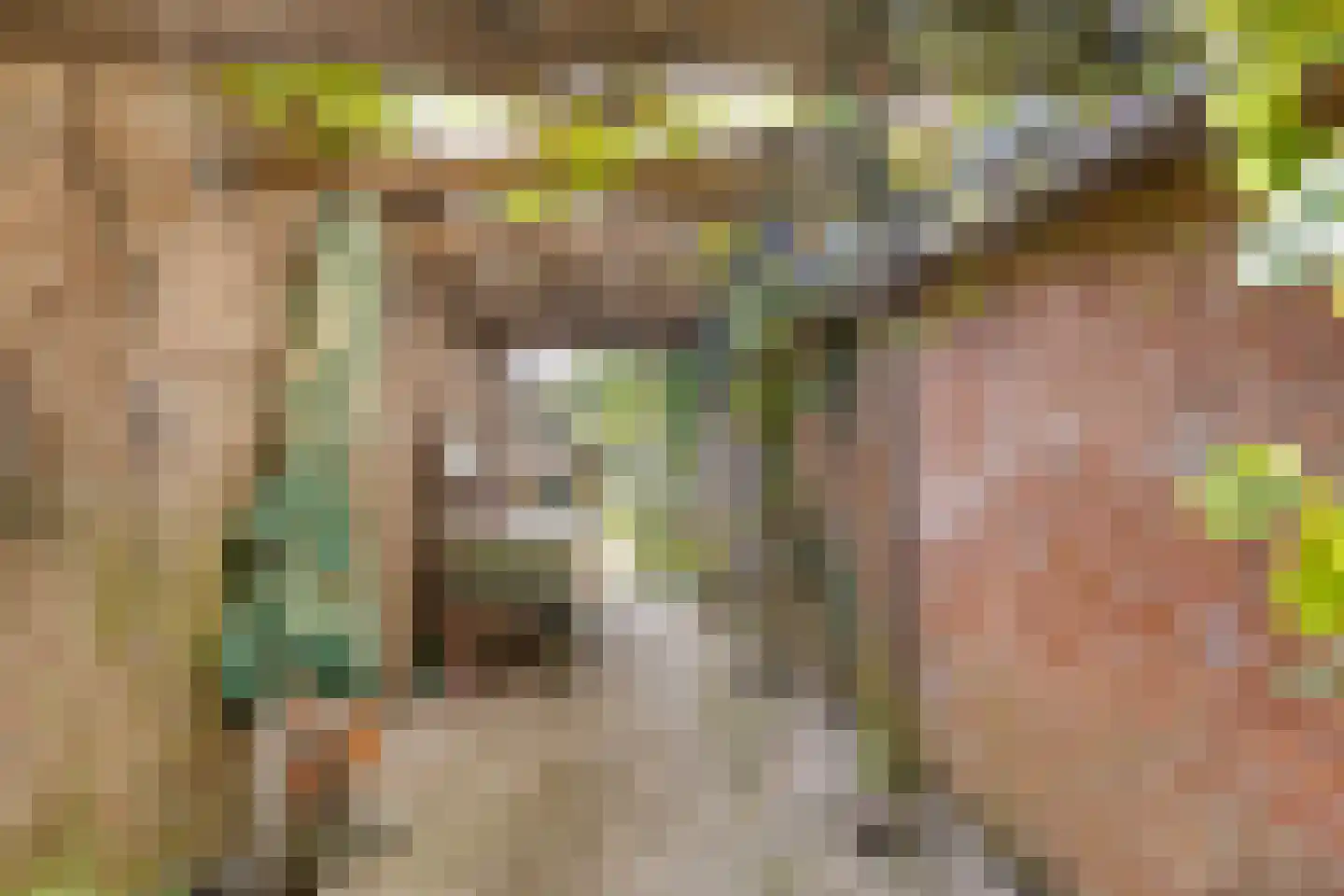 Oosterstraat 1 Dinteloord thumbnail 35