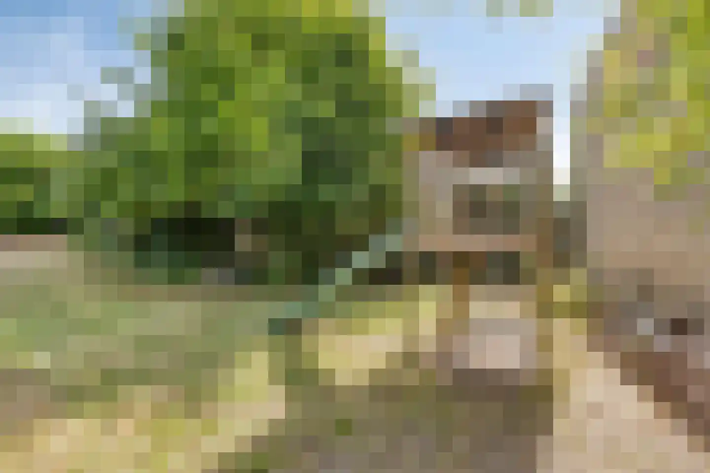 Oosterstraat 1 Dinteloord thumbnail 36